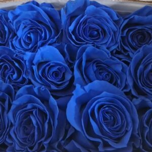 R GR DARK BLUE