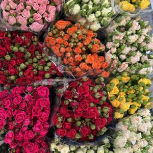 ROSE SPRAY MIX