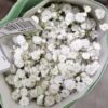 GYPSOPHILA XLENCE