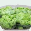 VIBURNUM 4 TESTE