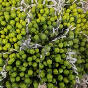 HYPERICUM COCO BAMBOO
